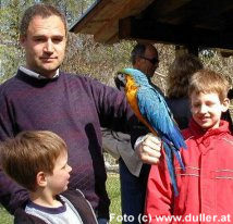 Vogelpark Turnersee Papagei